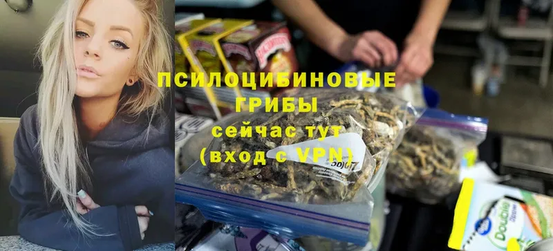 мега рабочий сайт  Иркутск  Псилоцибиновые грибы Magic Shrooms 